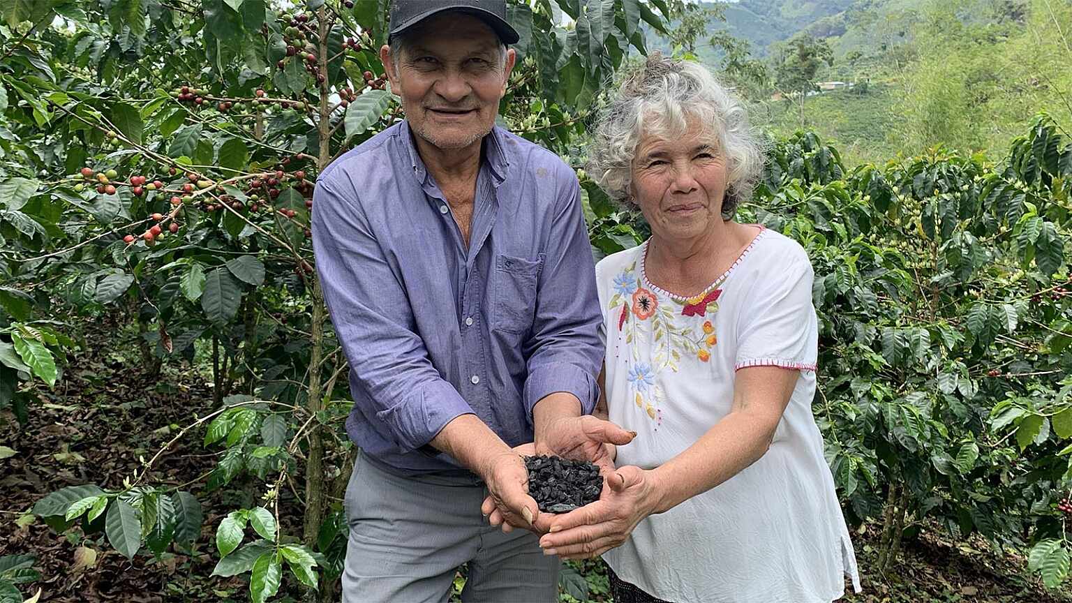 Colombia Cotierra Volcafe Biochar Farmers
