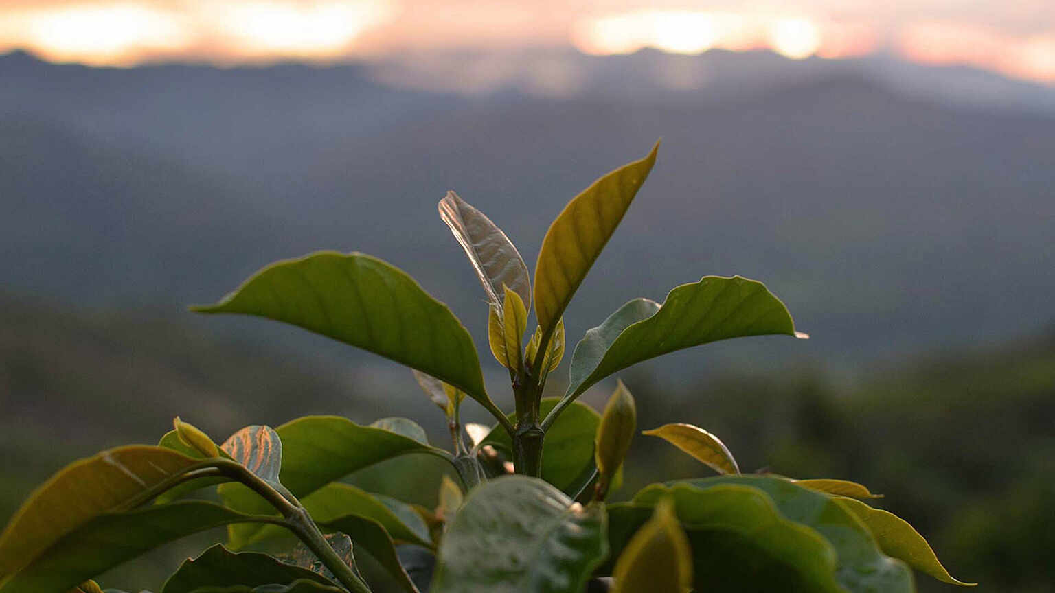 peru scenery mark furniss